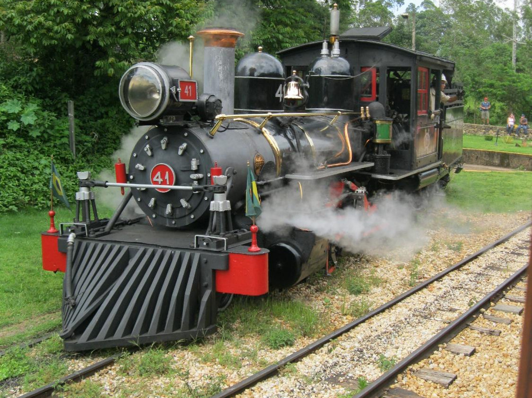 Smoking Mary Minas' Vintage Steam Trains-蒂拉登特斯必去景点