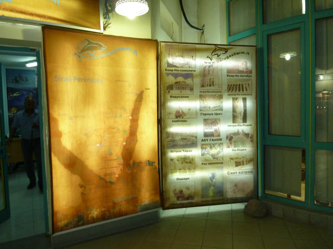 Beluga Sharm-沙姆沙伊赫必去景点