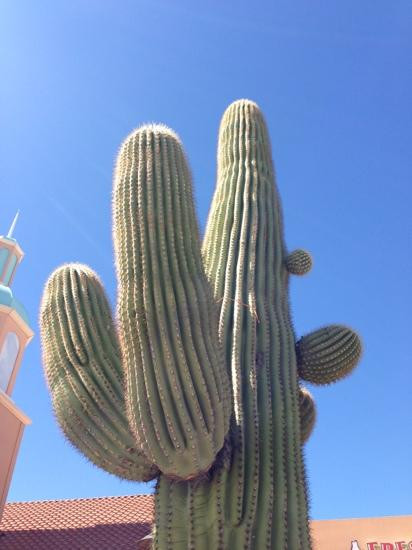 Outlets at Anthem-凤凰城必去景点