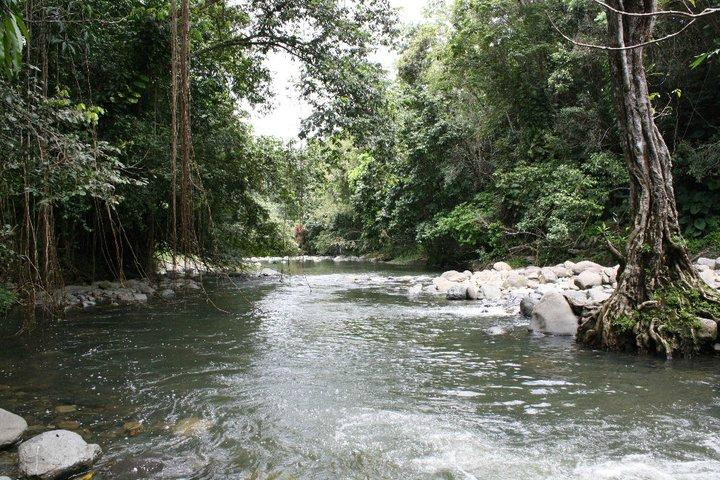 Junglequi Zip Line Park-Rio Grande必去景点