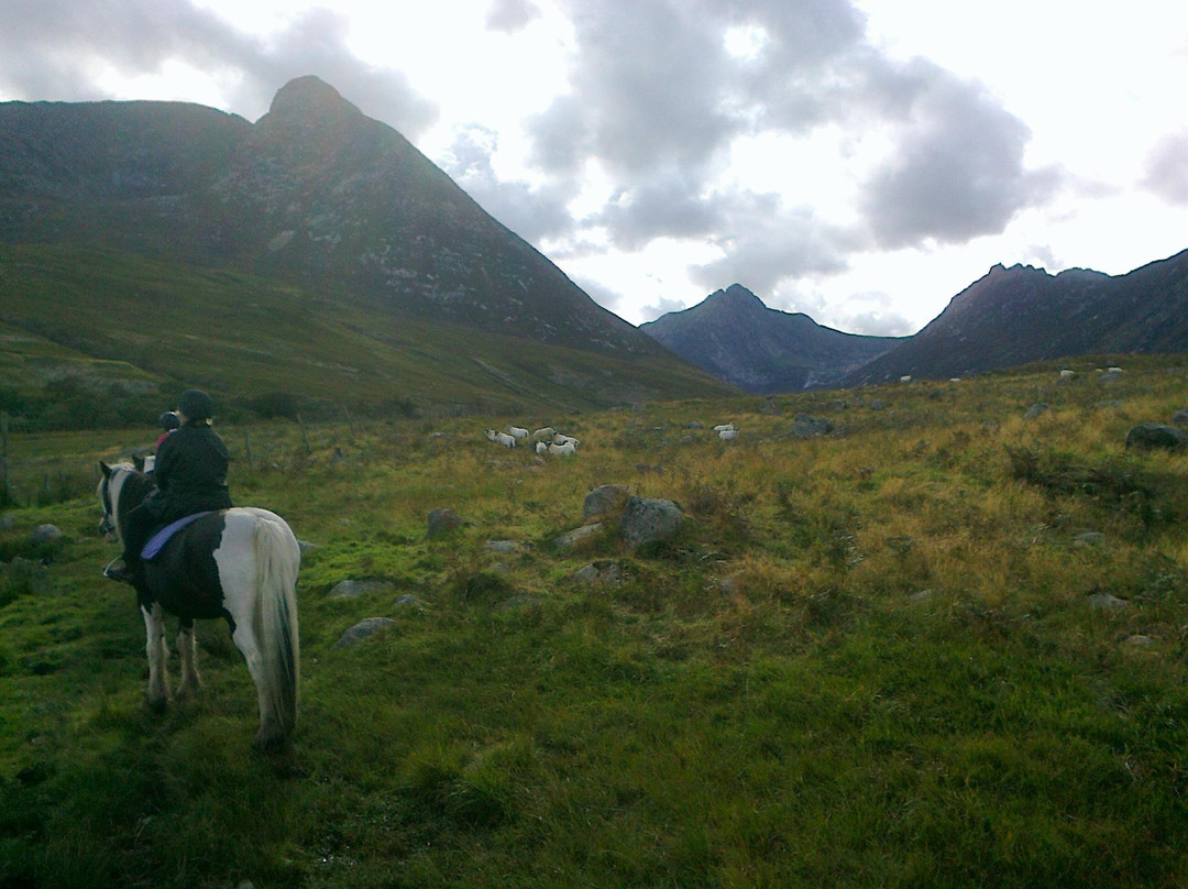 North Sannox Pony Trekking-Sannox必去景点