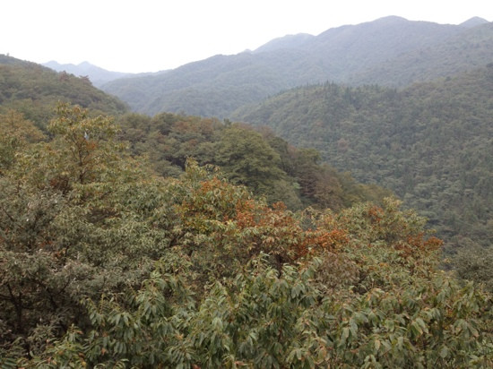 坪坝营-咸丰县必去景点