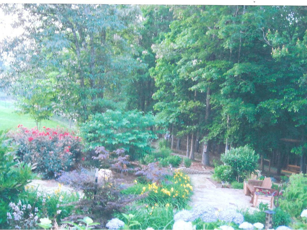 The Roost Bed and Breakfast主图