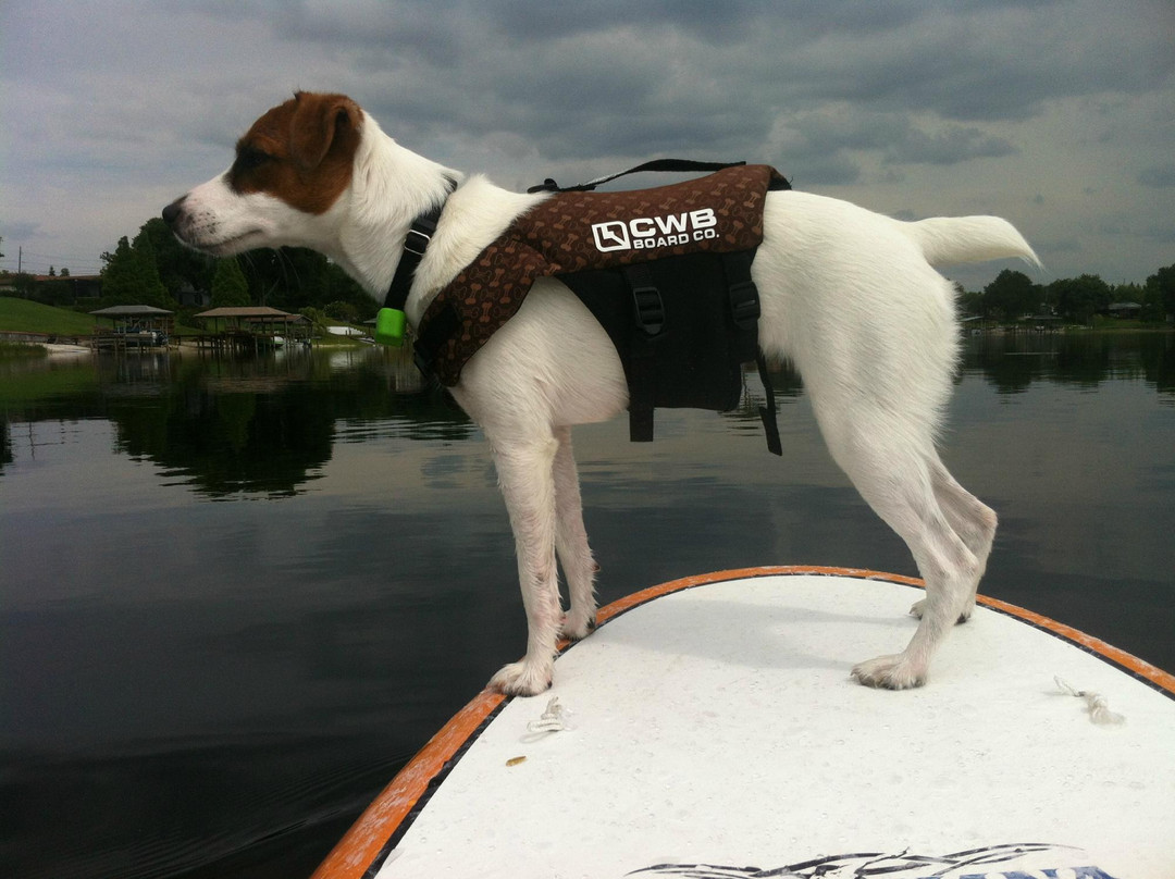 Chain Of Wakes-温特黑文必去景点