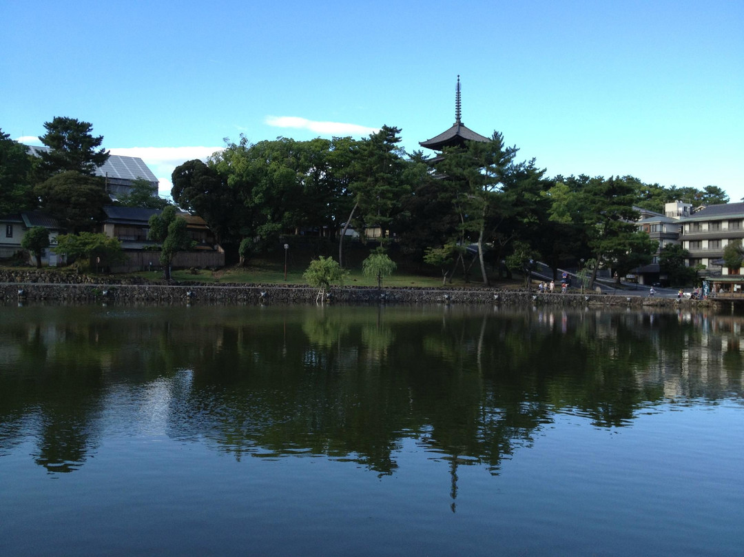 Sarusawa Pond-奈良市必去景点