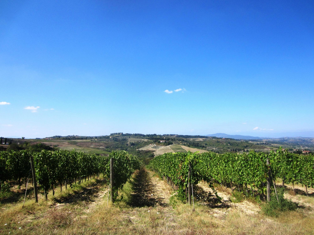 Il Fiaschetto-蒙特斯佩托利必去景点