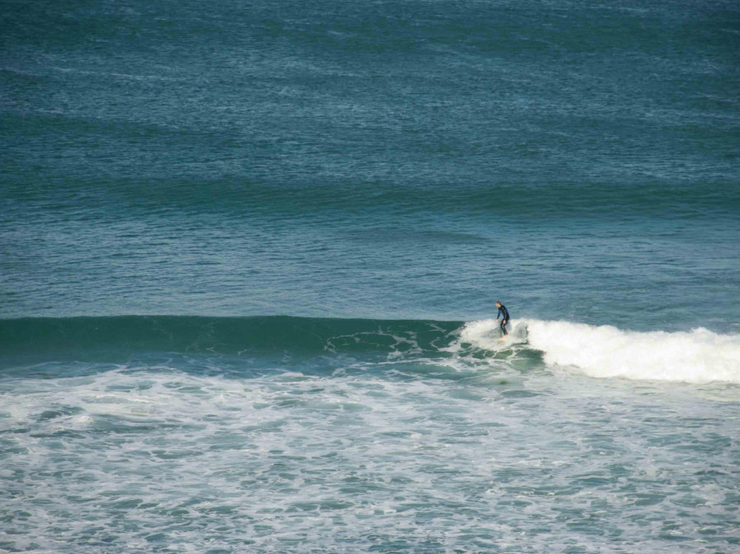 Dixon Park Beach-纽卡斯尔必去景点