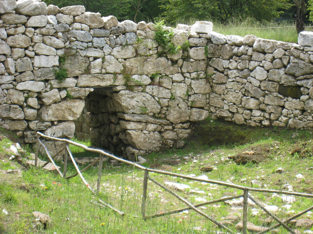 Trebula Balliensis景点图片