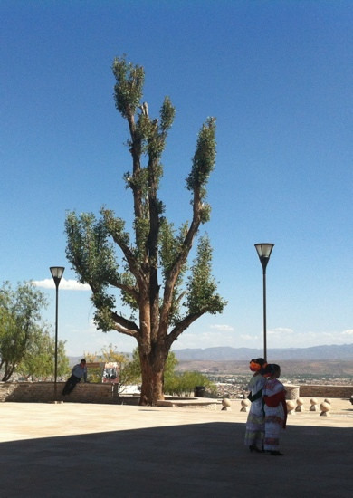 El Mirador los Remedios-Durango必去景点