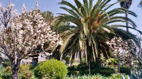 韦博汽车旅馆主图