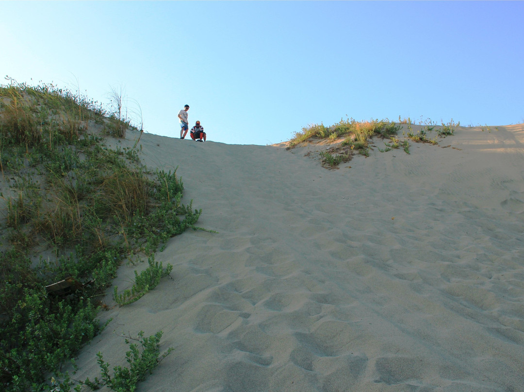 La Paz Sand Dunes景点图片
