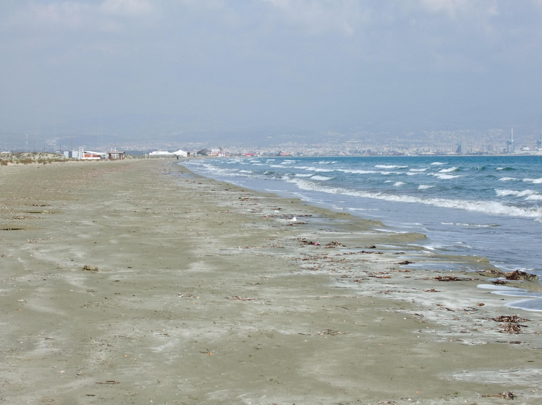 Lady's Mile Beach-Akrotiri必去景点