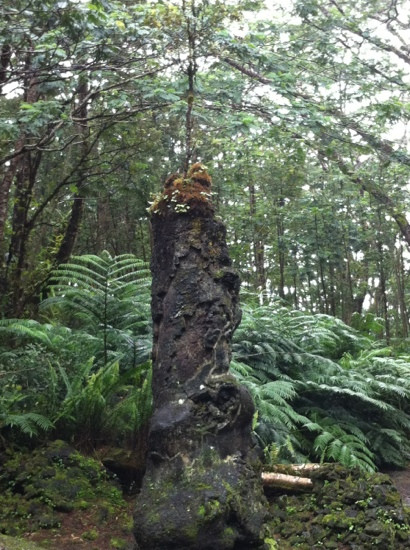 州立熔岩树公园-帕霍亚必去景点