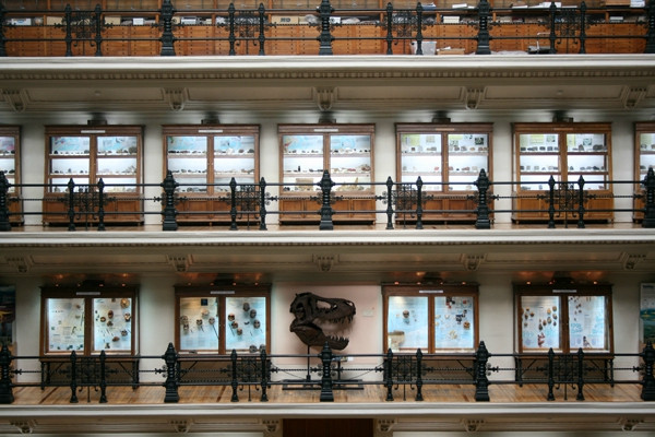 Museo Geominero-马德里必去景点