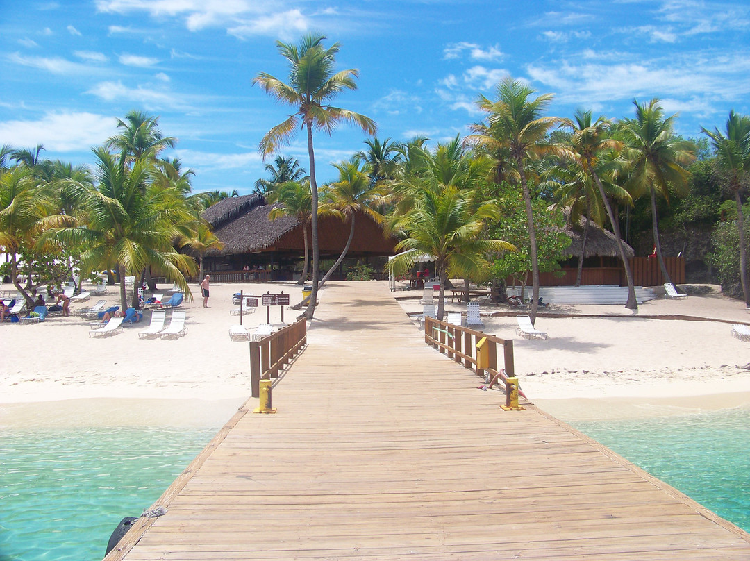 Catalina Island-拉罗马纳必去景点