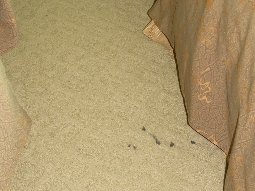 凯里一家酒店连锁大十字店主图