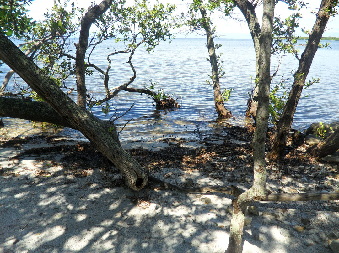 De Soto National Memorial-布雷登顿必去景点