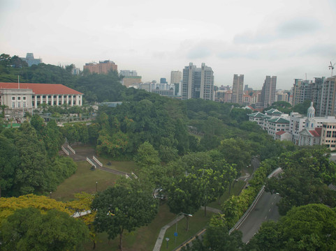 福康寧公園-新加坡必去景点