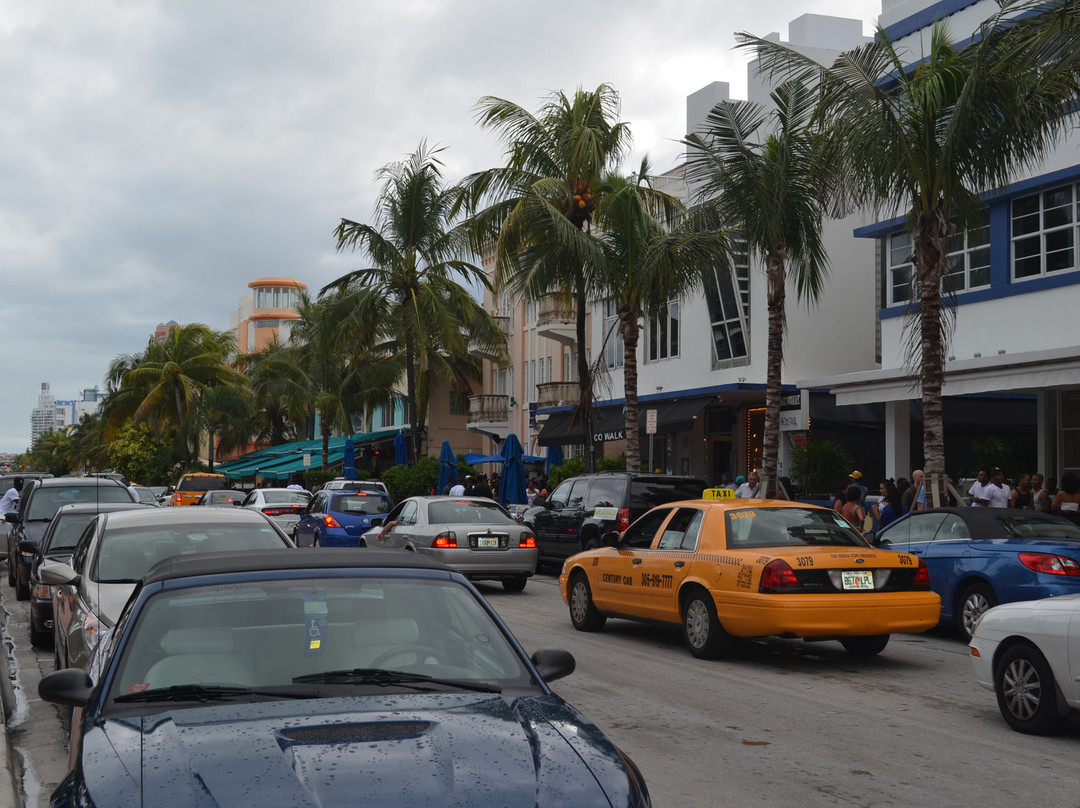 海洋大道-迈阿密海滩必去景点