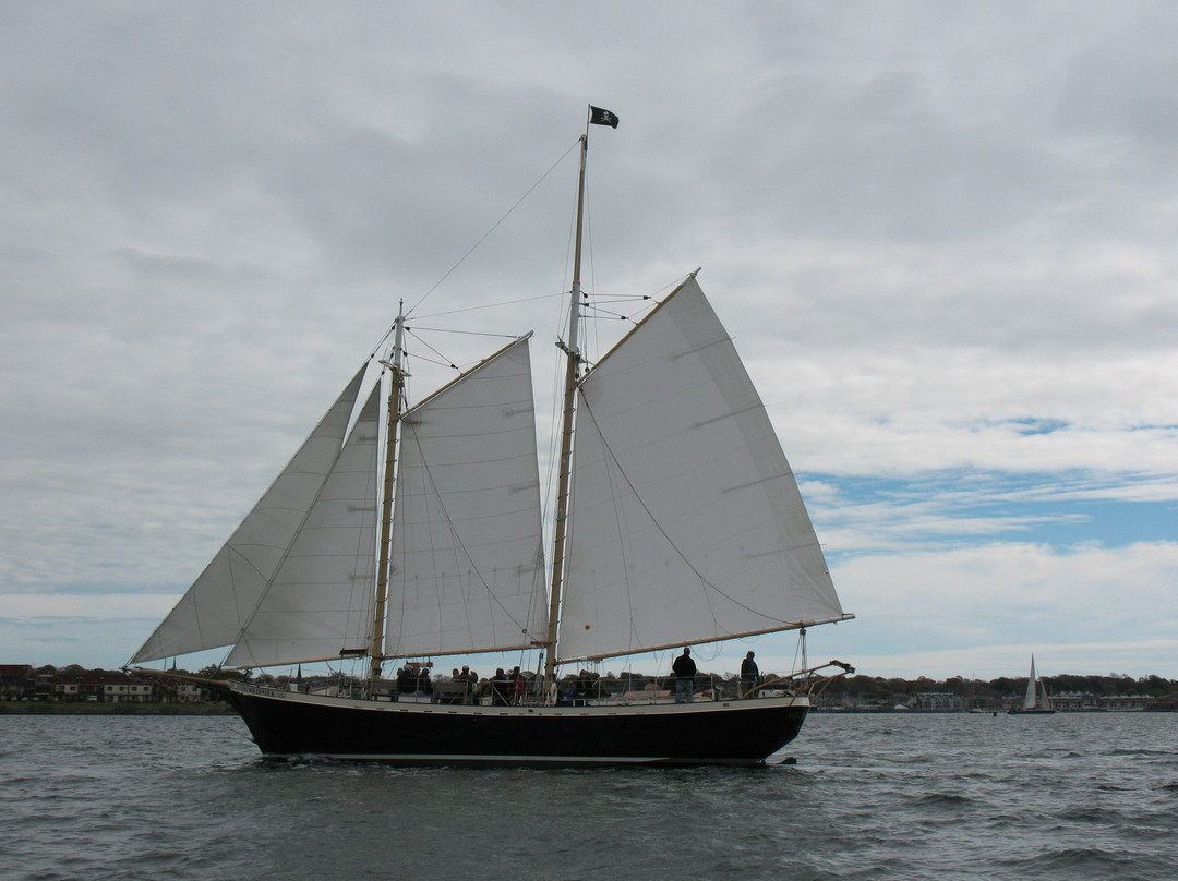 Sightsailing of Newport-纽波特必去景点