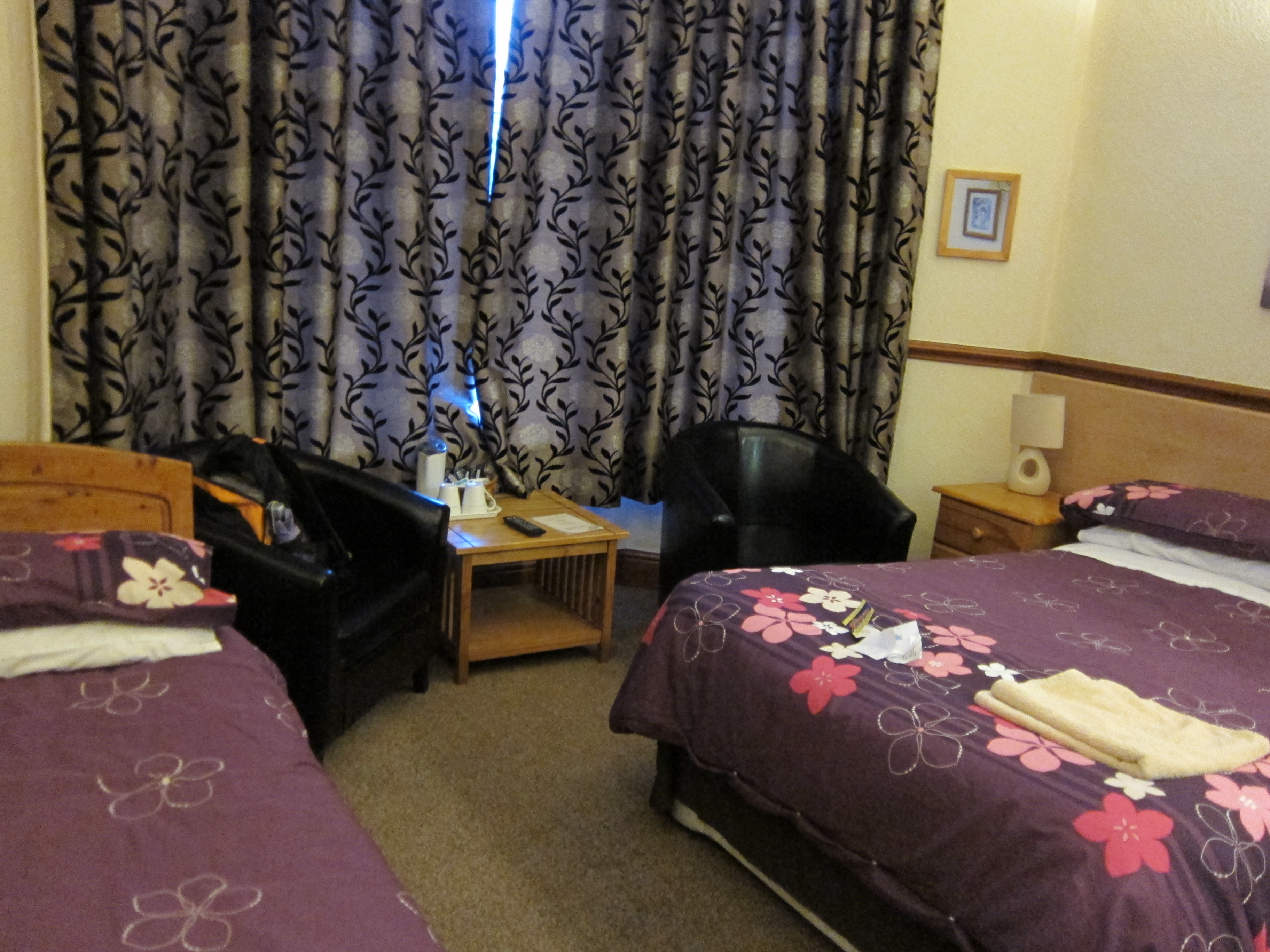 Y Garth Guest House-客卧