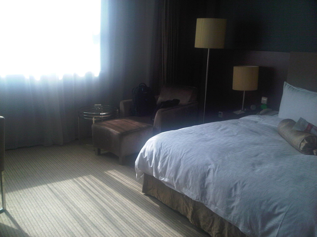 君宜王朝大饭店主图