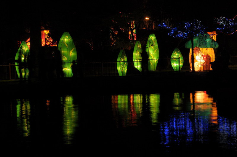 王城公园洛阳牡丹花会-洛阳市必去景点