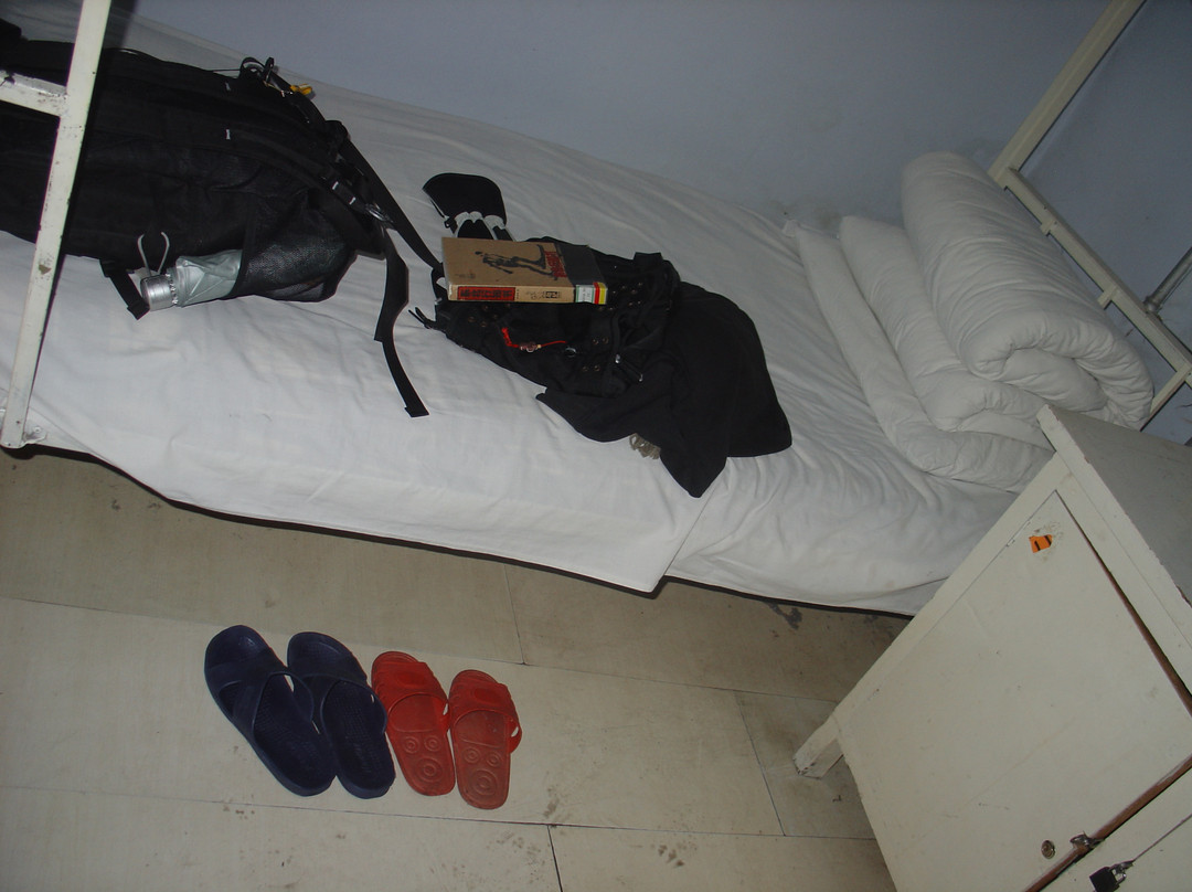 小杉树国际青年旅舍主图