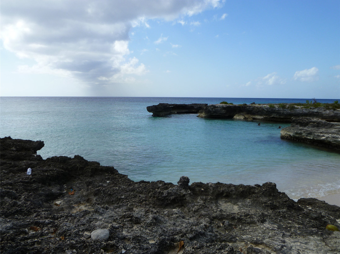 Smith Cove-大开曼岛必去景点
