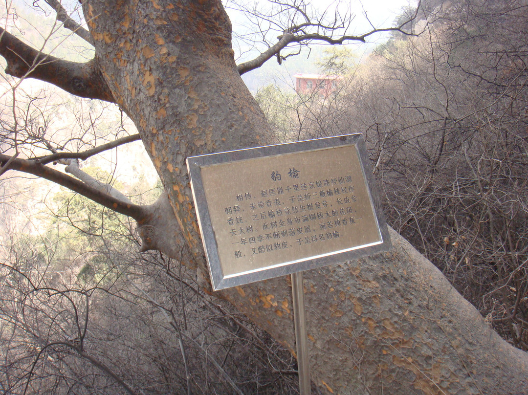 姑射山-临汾市必去景点