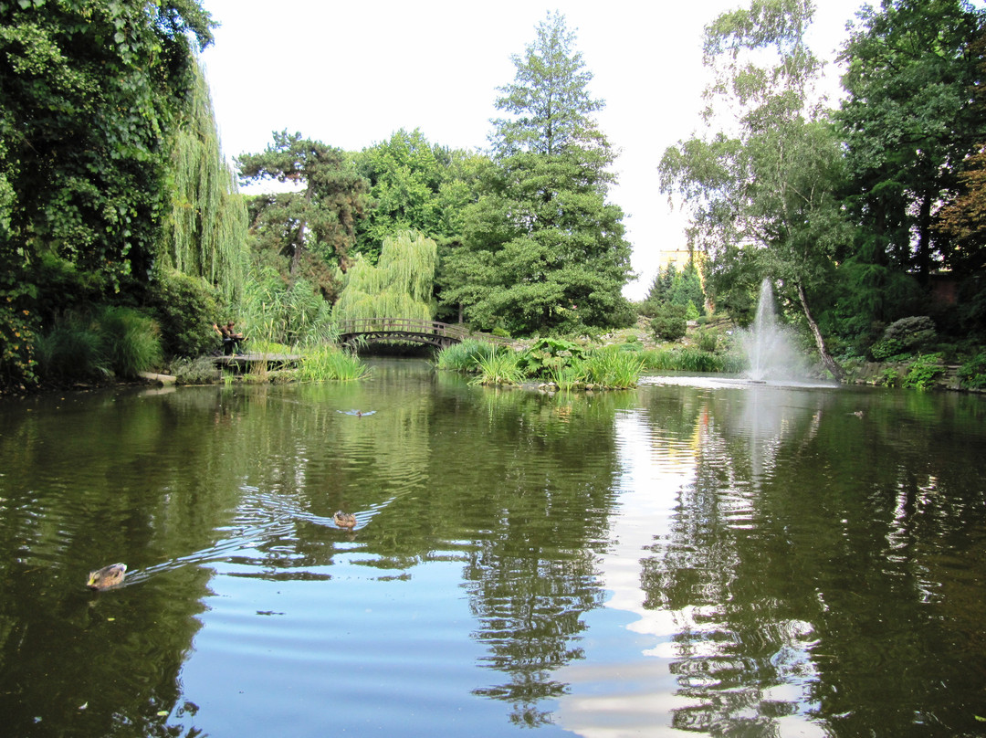 Botanical Garden of the University of Wrocław景点图片