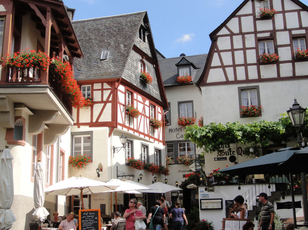 Burg Metternich景点图片