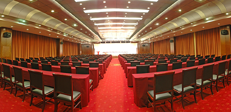 天津河东麦客达温德姆酒店-客卧