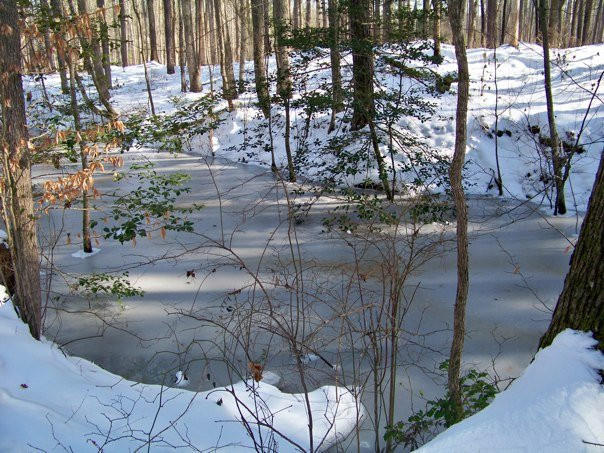 Great Dismal Swamp National Wildlife Refuge景点图片