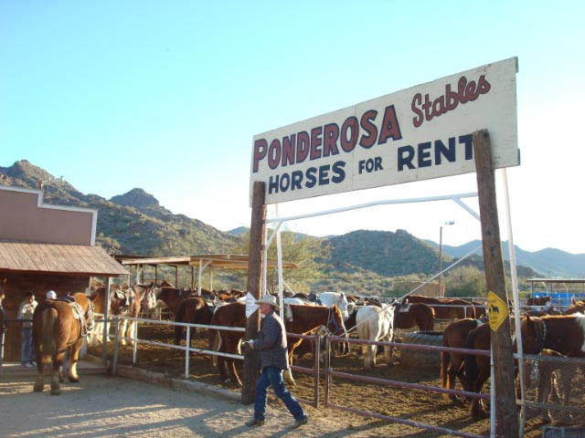 Arizona Horses (Ponderosa Stables and South Mountain Stables)景点图片