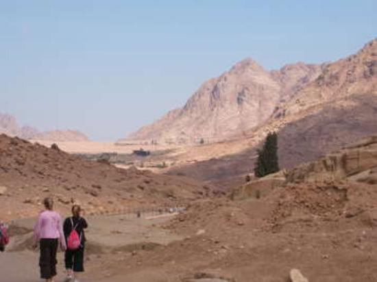Mount Sinai-圣卡特琳娜地区必去景点