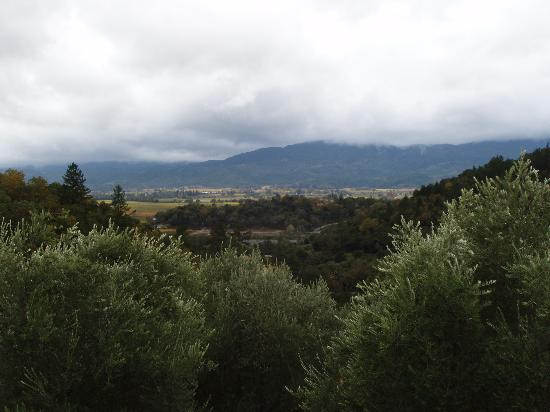 Rutherford Hill Winery景点图片