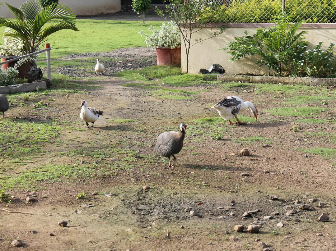 Orchard, The Resort主图