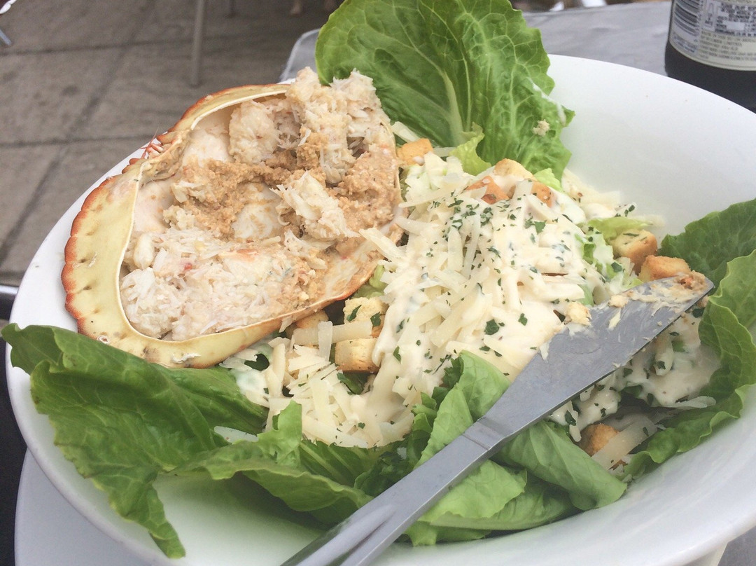 The Terrace Plymouth