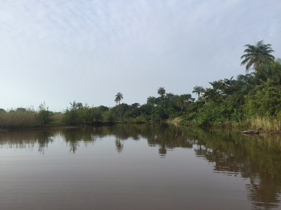 Kingfisher's Lodge