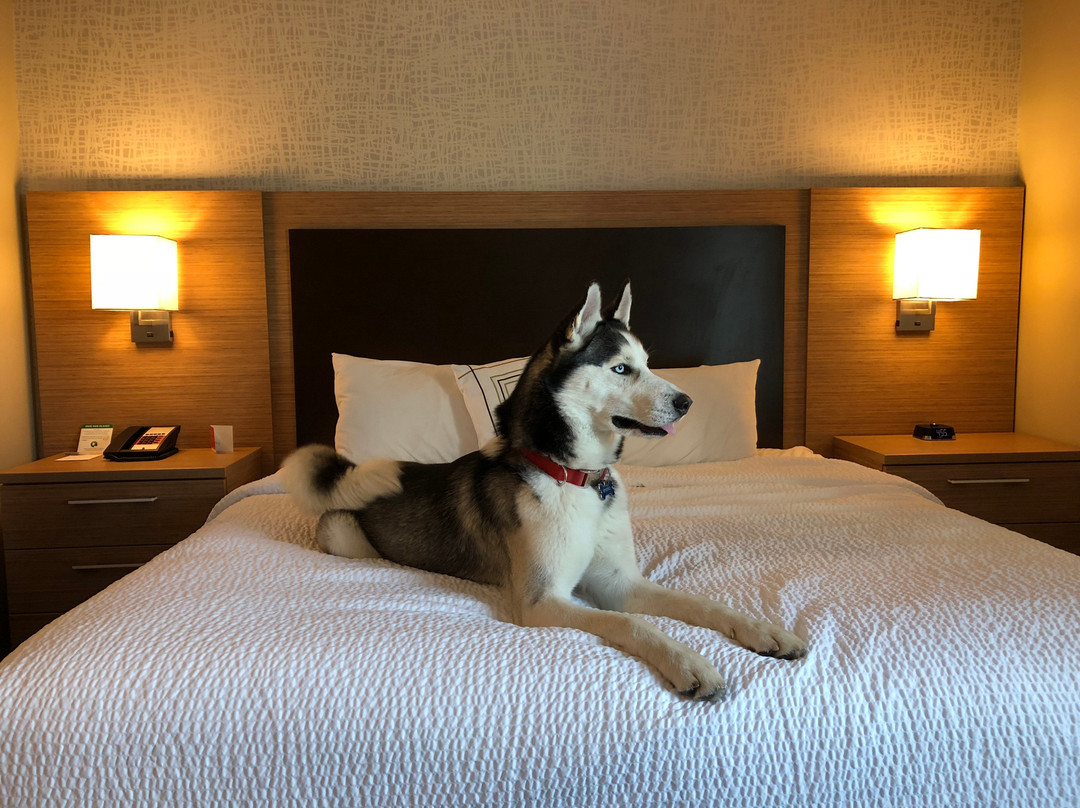 Home Inn & Suites Saskatoon South主图