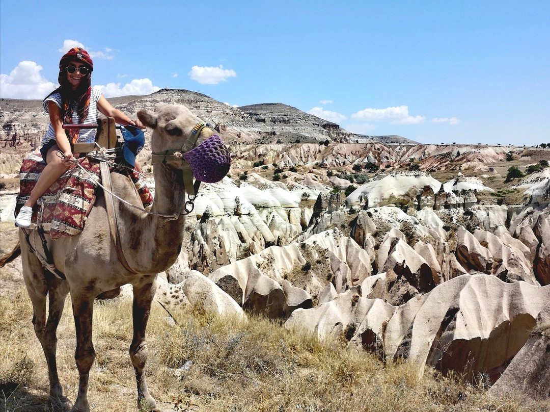 Savran Camel Safari景点图片