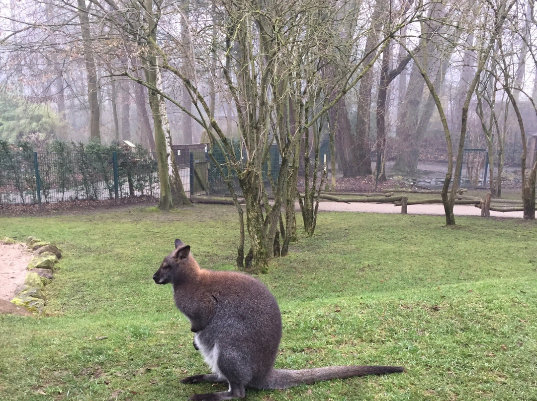 Tierpark Hamm景点图片