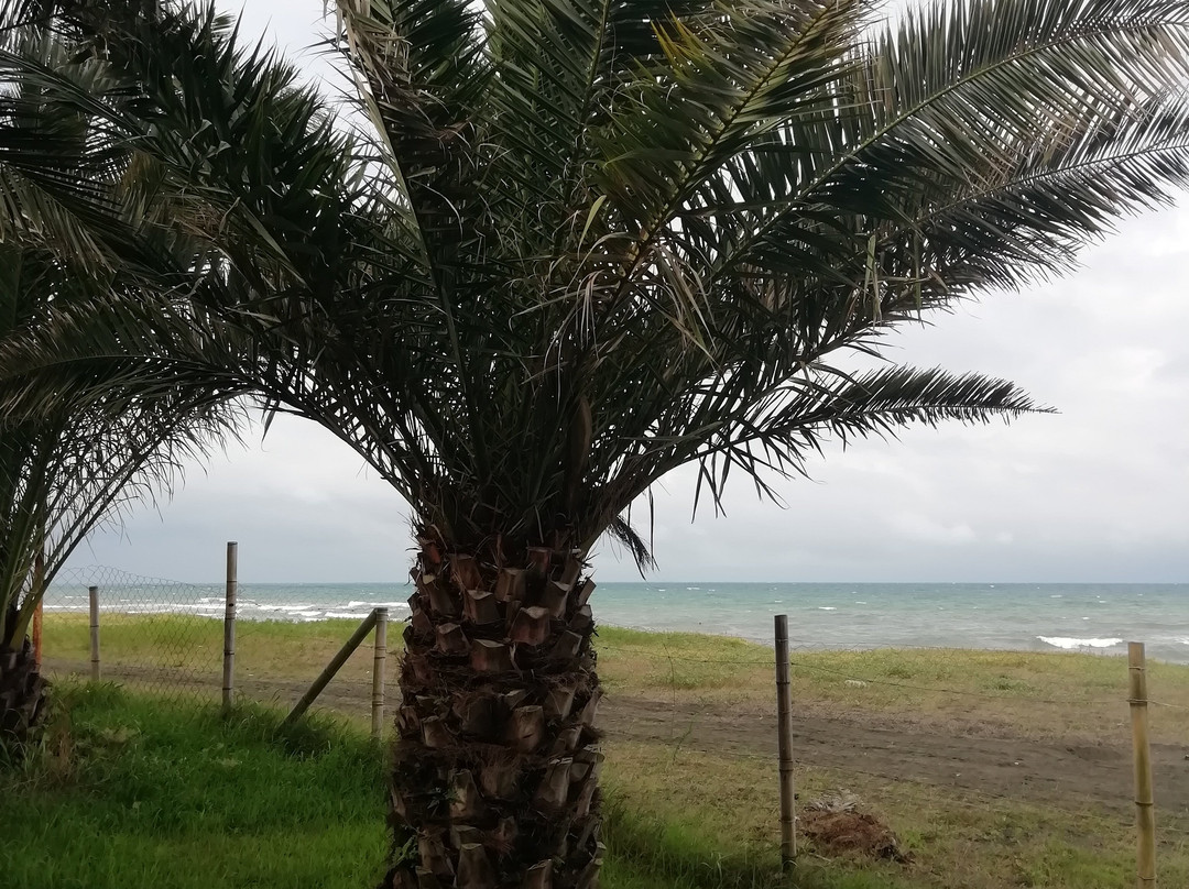 Shekvetili Green House