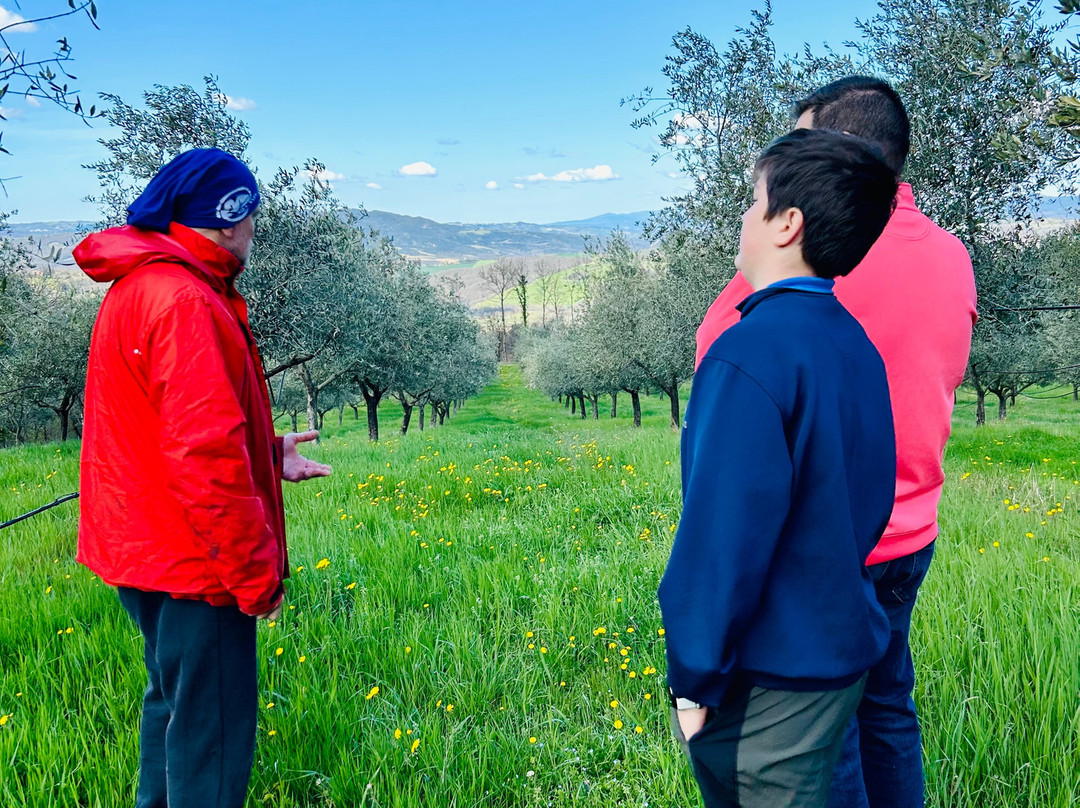 Agriturismo Le Bolli主图