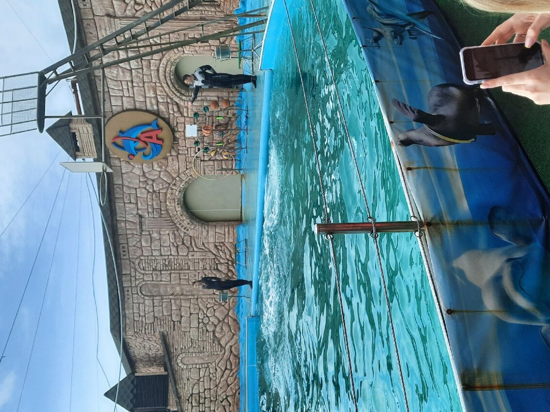 Adler Dolphinarium-索契必去景点
