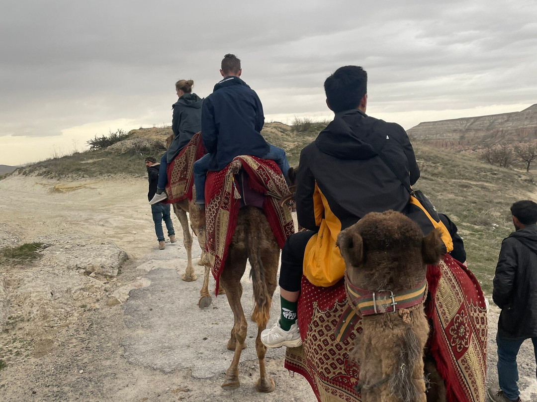 Savran Camel Safari-奥塔西萨必去景点