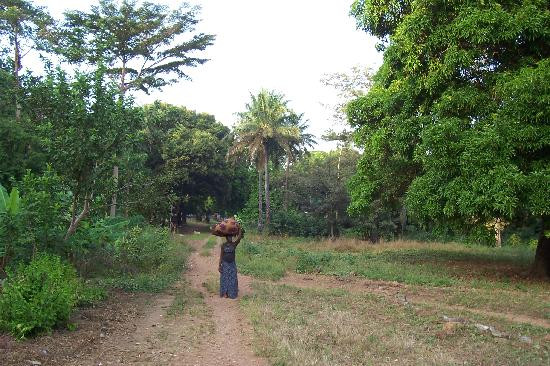 Iles de Los-柯那克里必去景点