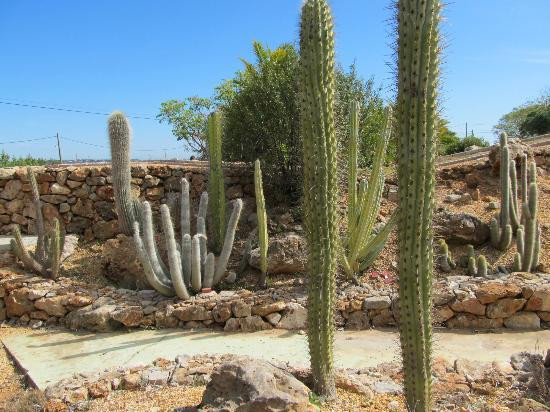 QM Country Shop and Garden Center-法罗必去景点