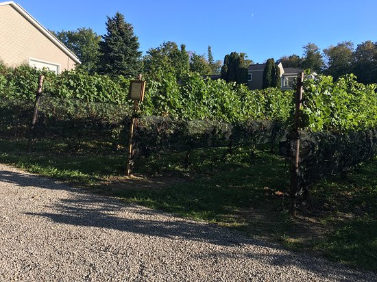 Bowers Harbor Vineyards-特拉弗斯城必去景点